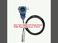 Input Type Liquid Level Gauge Sensor RS485 Water Level Sensor 4-20mA