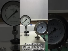 Mechanical Pressure Gauge Bottom Connection Field Display Linear Pointer Pressure Gauge OEM